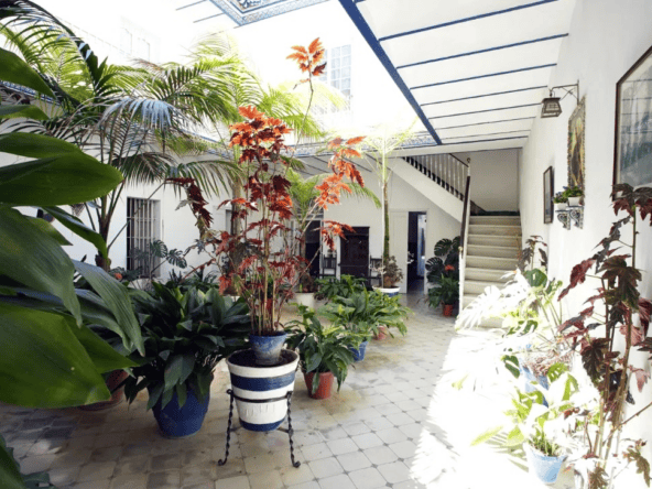 arcos de la frontera property
