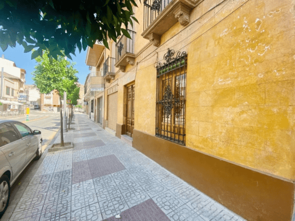 Pinos-Puente property