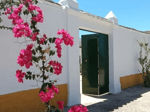 montilla property