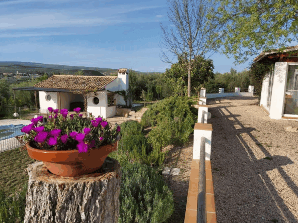 Santo Tomé property